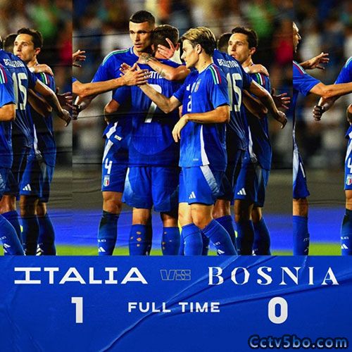 意大利  1 - 0  波黑