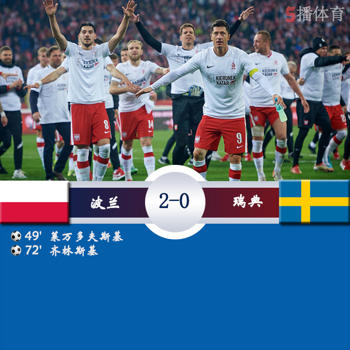 世预赛欧洲区附加赛B组决赛 波兰  2 - 0  瑞典