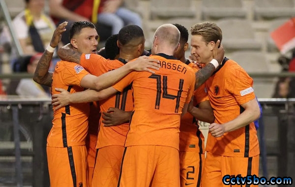 德佩两球贝尔温世界波 比利时1-4荷兰