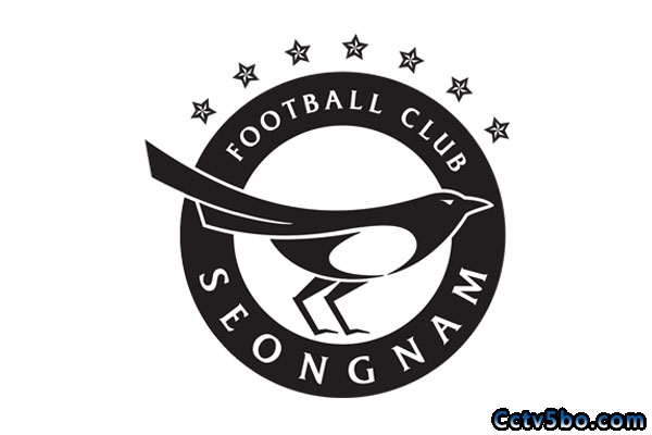 韩职联城南足球俱乐部队球员号码及阵容名单