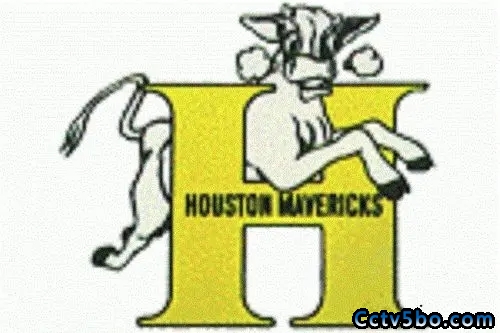 NBA历史球队-休斯顿小牛队（Houston Mavericks(HSM)）