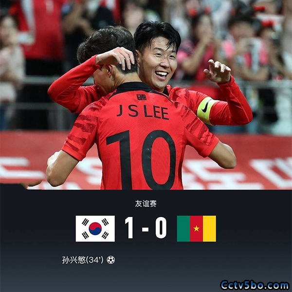 足球友谊赛 韩国  1 - 0  喀麦隆