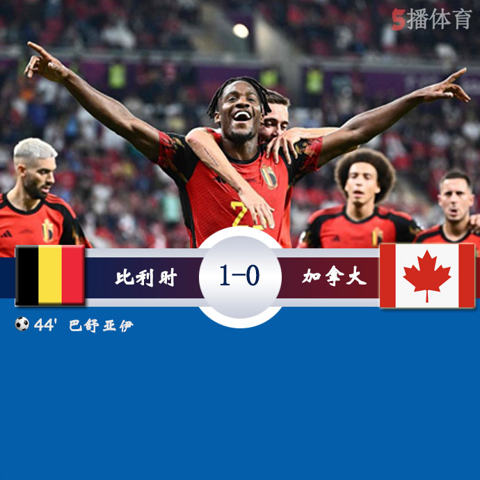 世界杯小组赛F组第1轮 比利时  1 - 0  加拿大