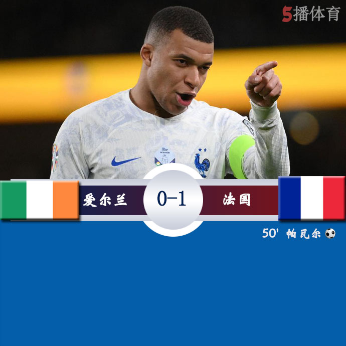 爱尔兰  0 - 1  法国