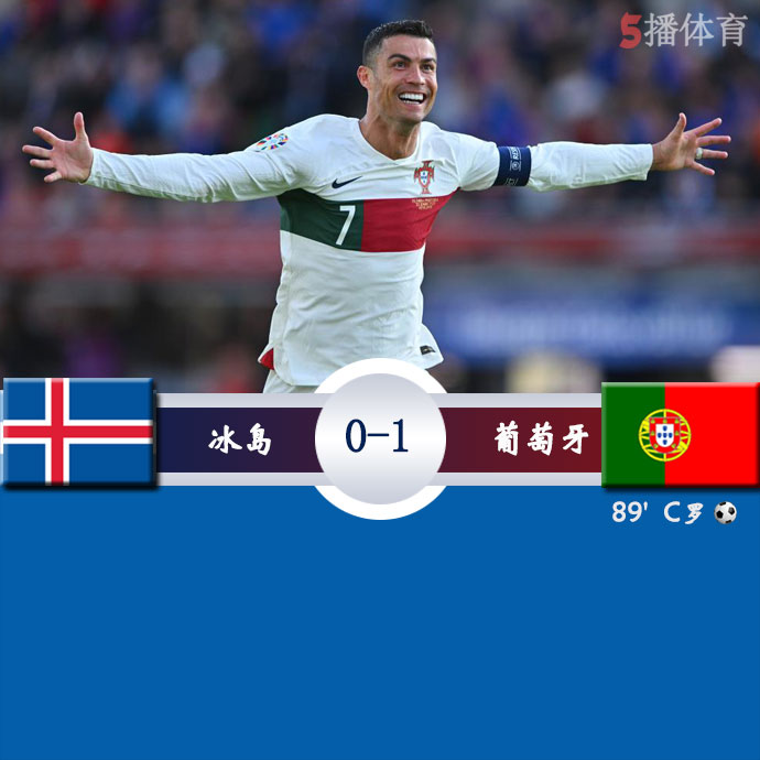 冰岛  0 - 1  葡萄牙