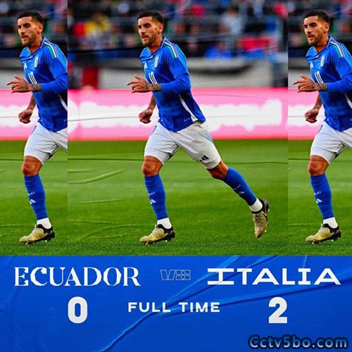 厄瓜多尔  0 - 2  意大利