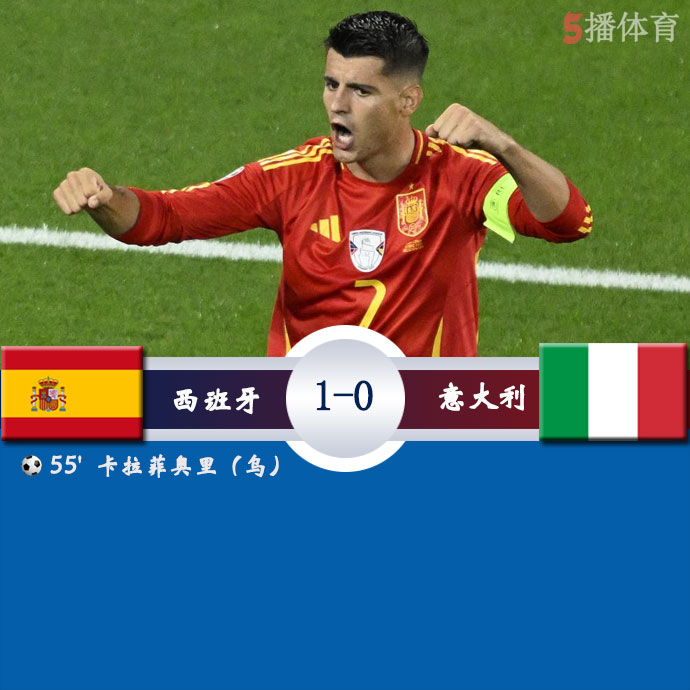 西班牙  1 - 0  意大利