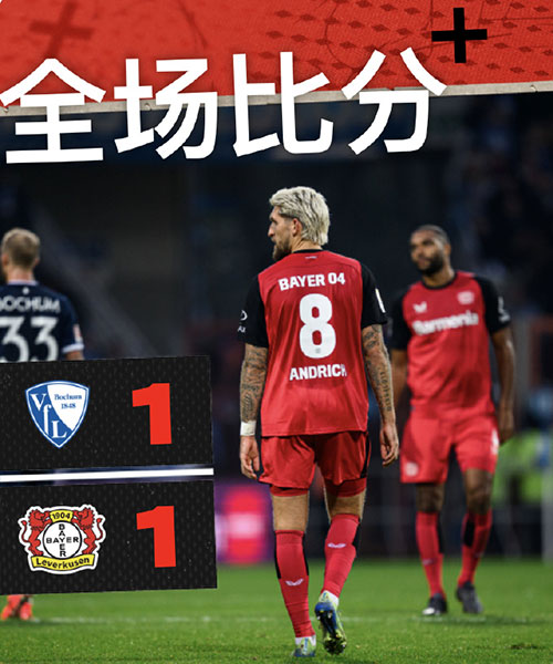 波鸿  1 - 1  勒沃库森